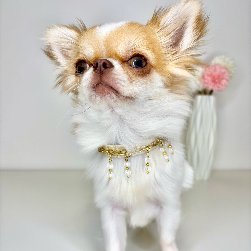 Collare Pelle Ciondoli