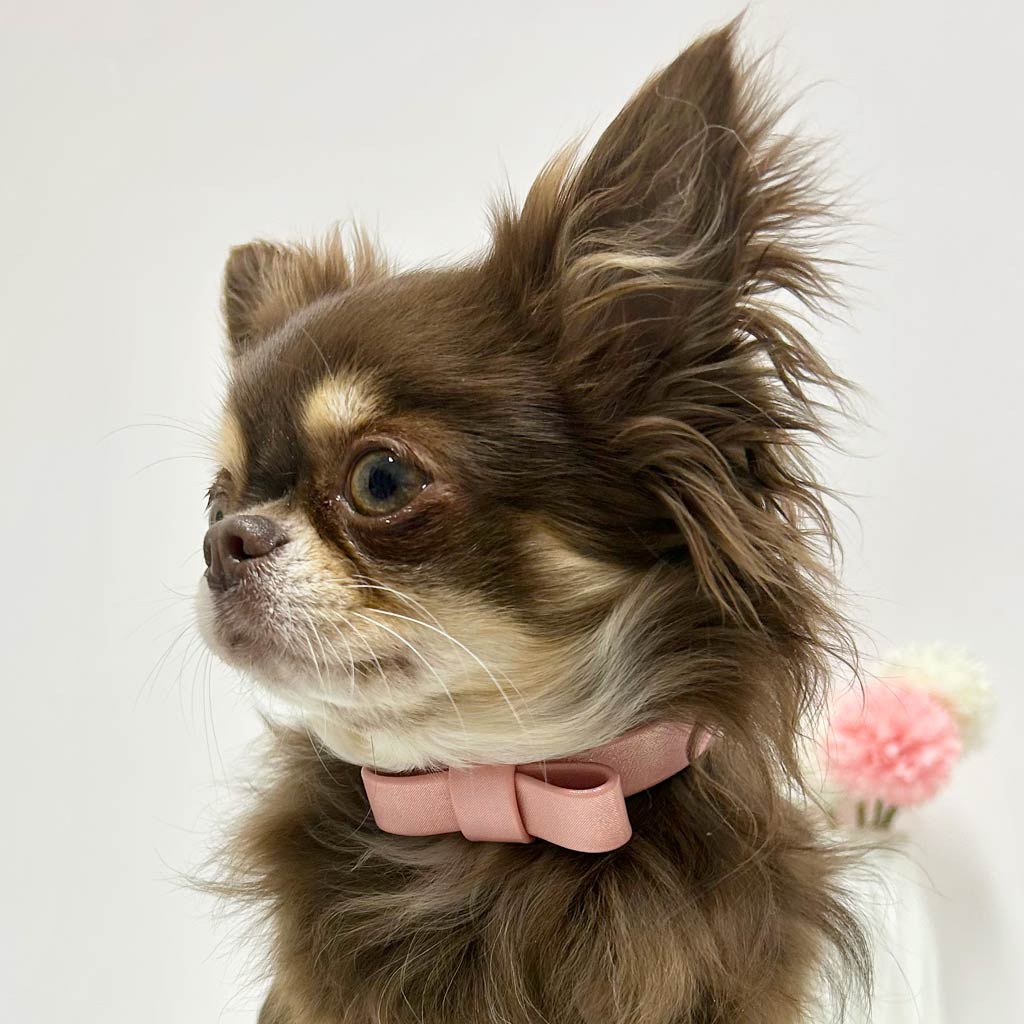 Collare Ecopelle Fiocco - Outlet