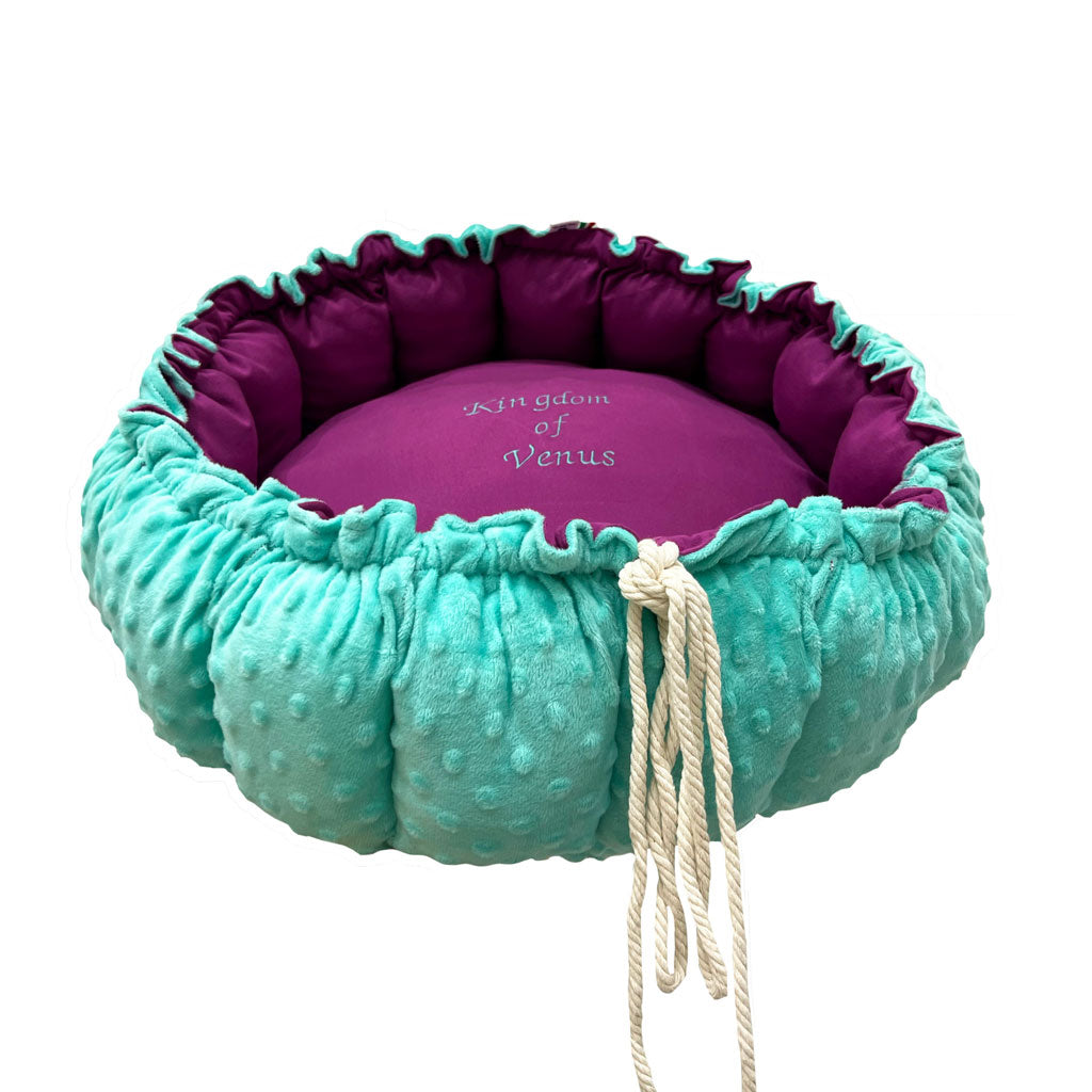 Cuccia Kingdom Tiffany & Viola