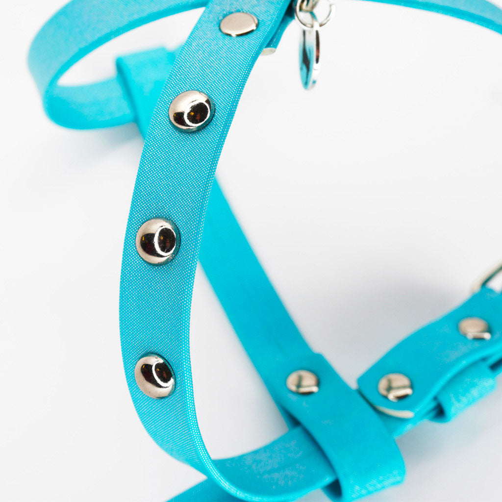Pettorina Amalfi Azzurra Outlet