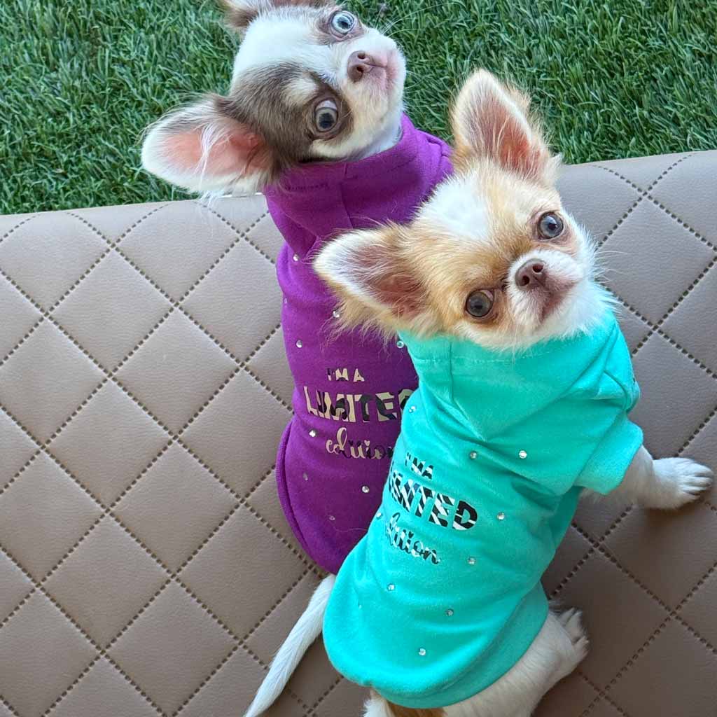 Felpa Kingdom Viola con cappuccio