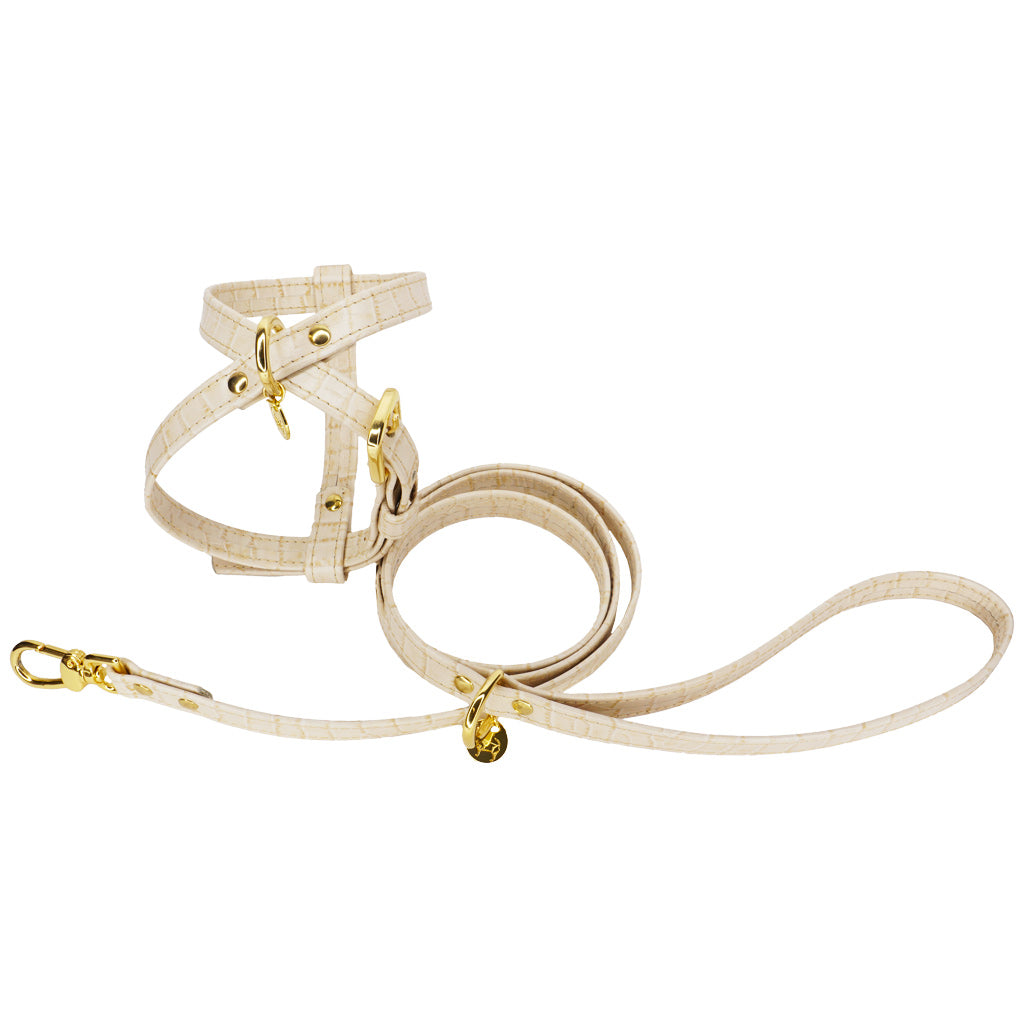 Guinzaglio in Pelle