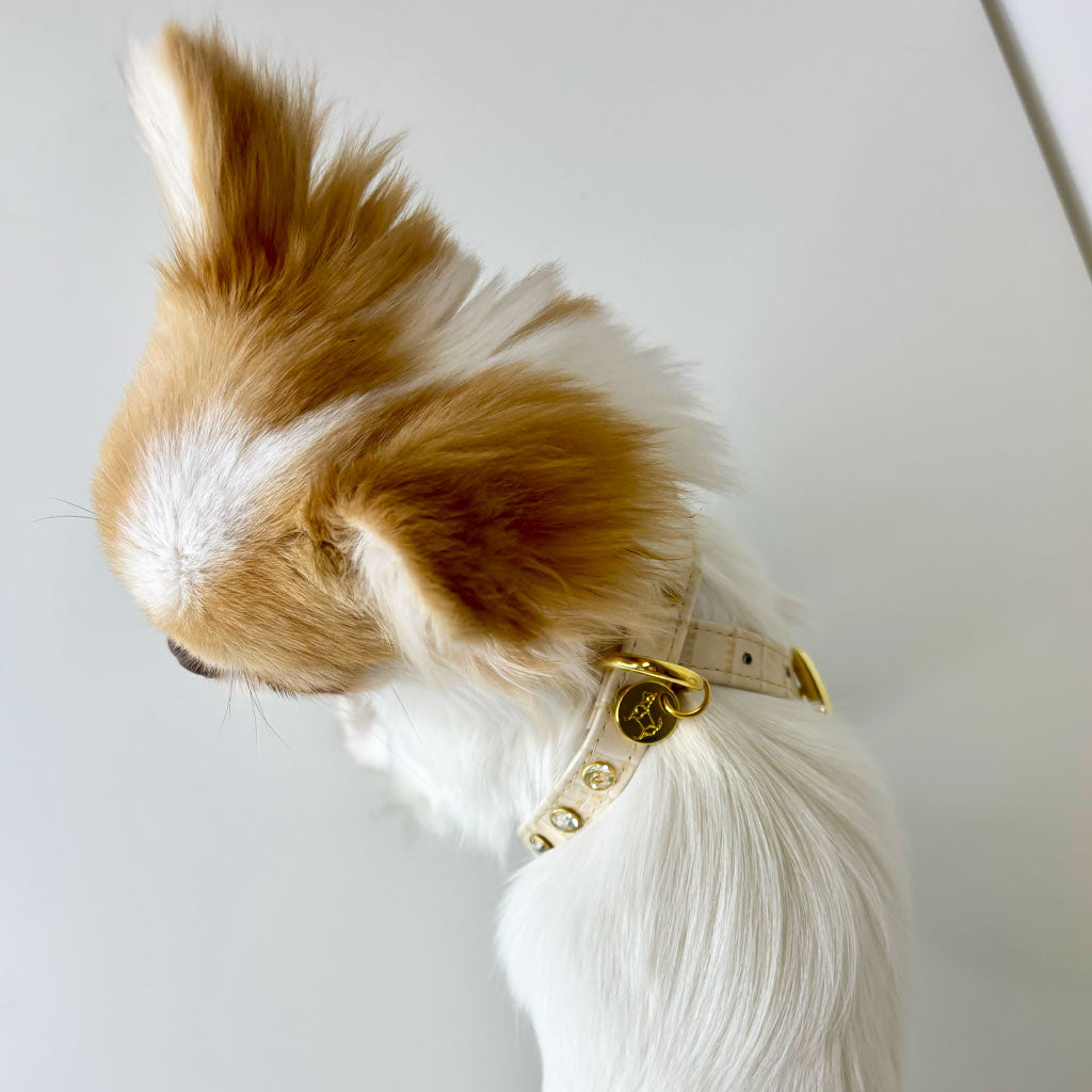 Pettorina Pelle Pietre