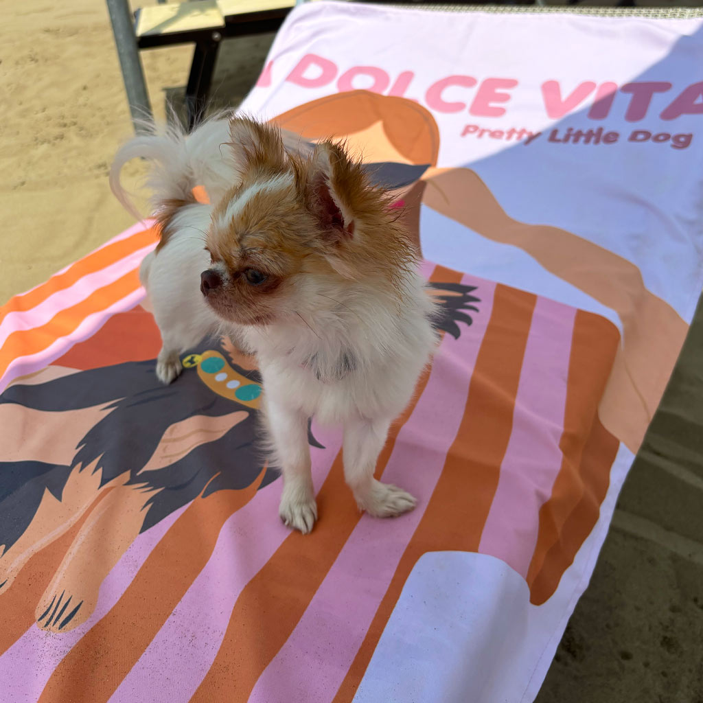 Telo Mare La Dolce Vita