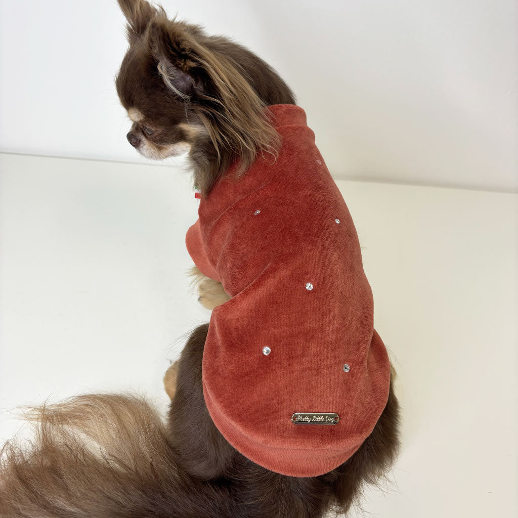 Felpa in Ciniglia Terracotta