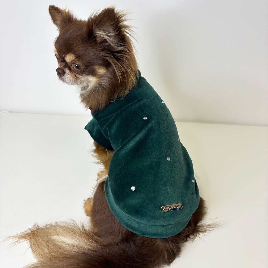 Felpa in Ciniglia Verde