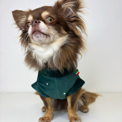 Felpa in Ciniglia Verde