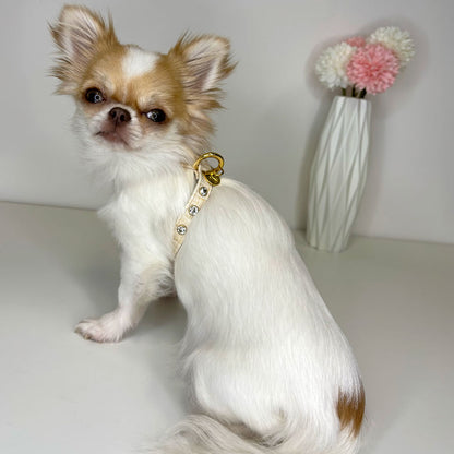 Pettorina Pelle Pietre