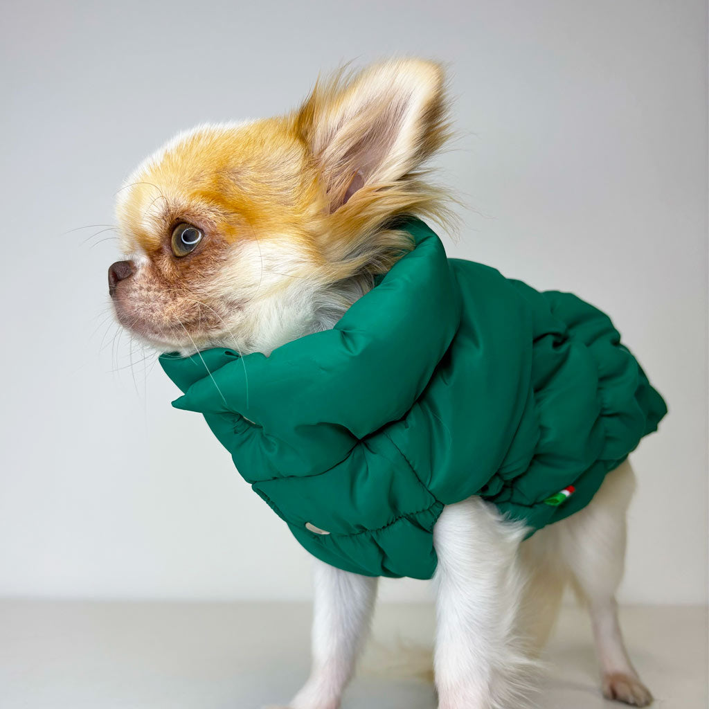 Piumino Elastico Verde