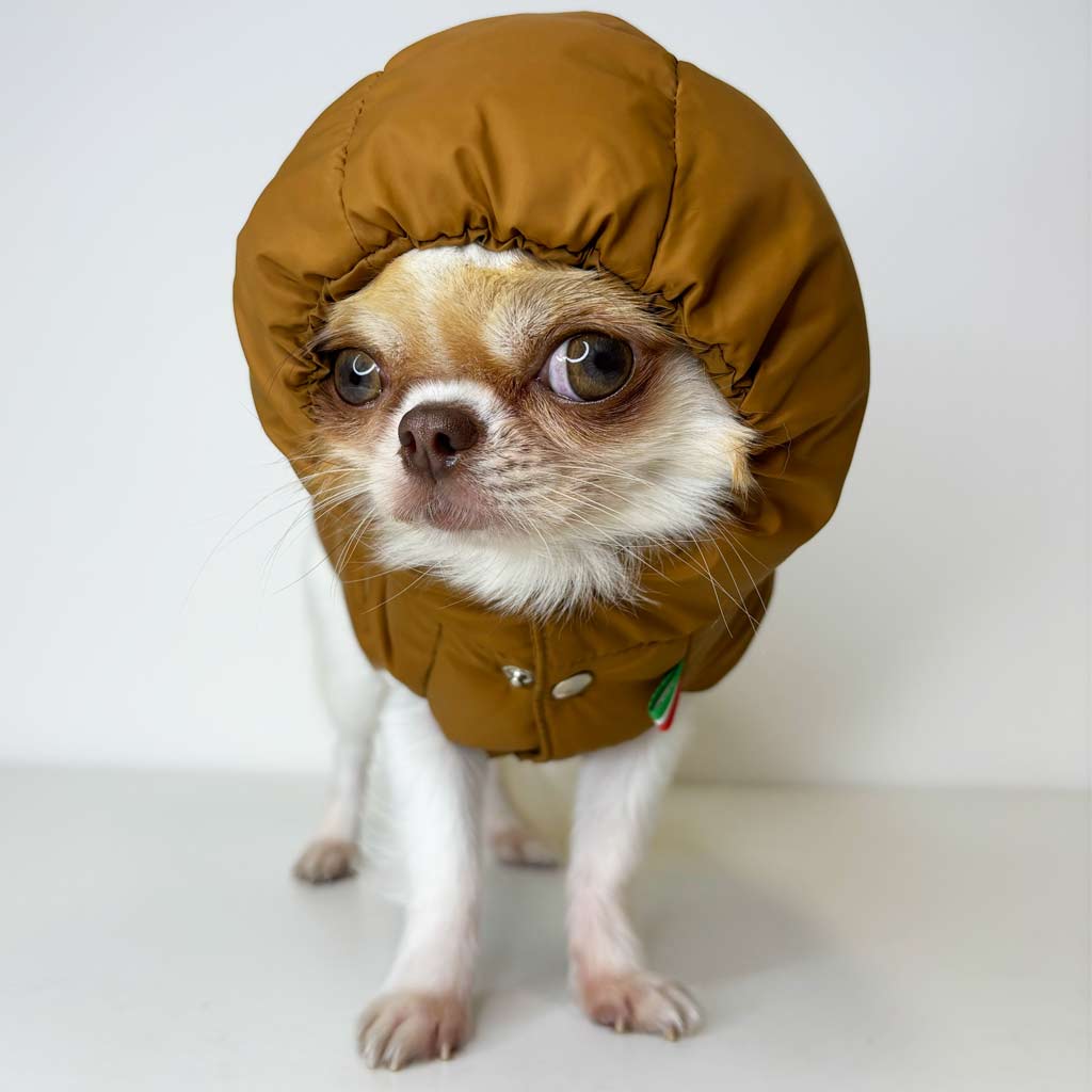 Piumino in Piuma Cammello