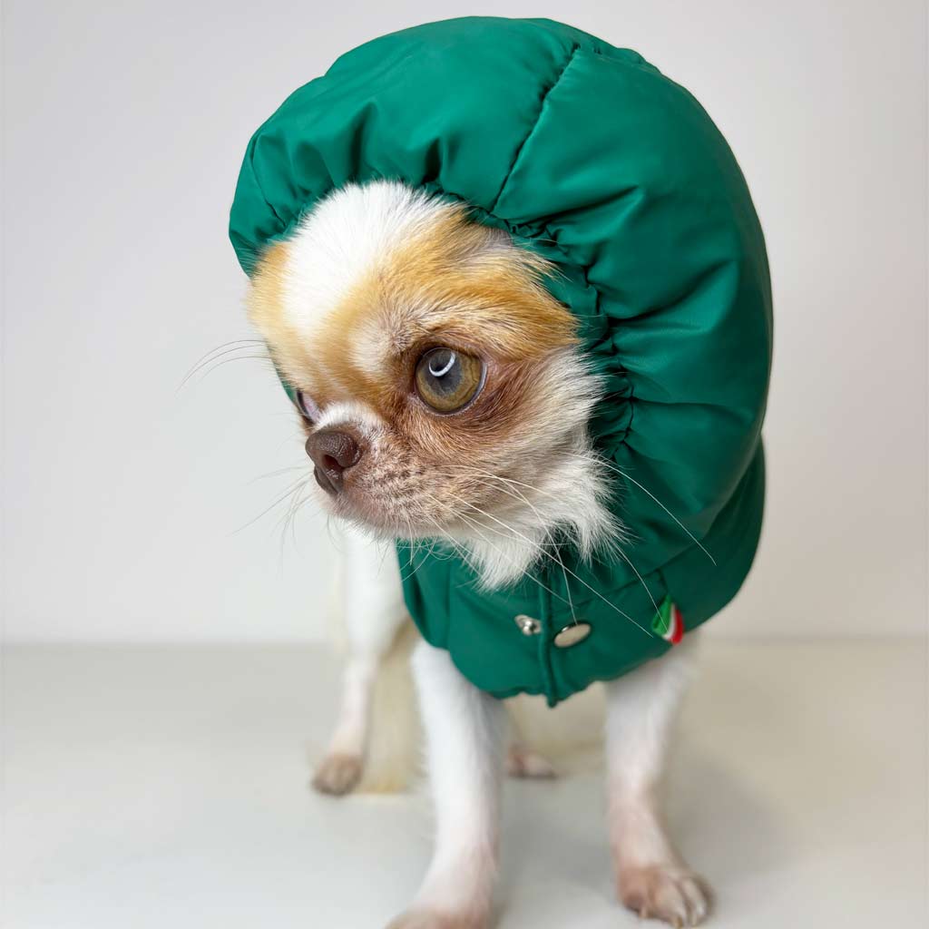 Piumino in Piuma Verde