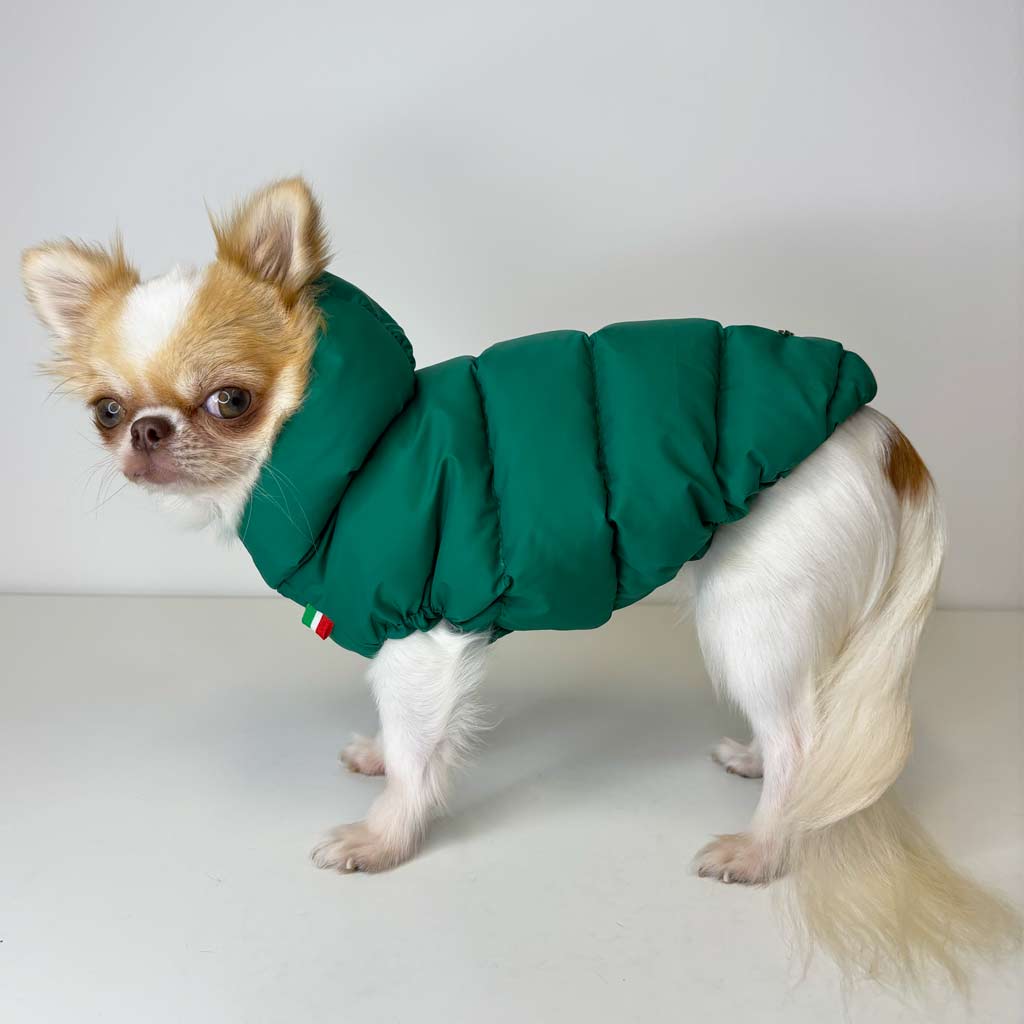 Piumino in Piuma Verde